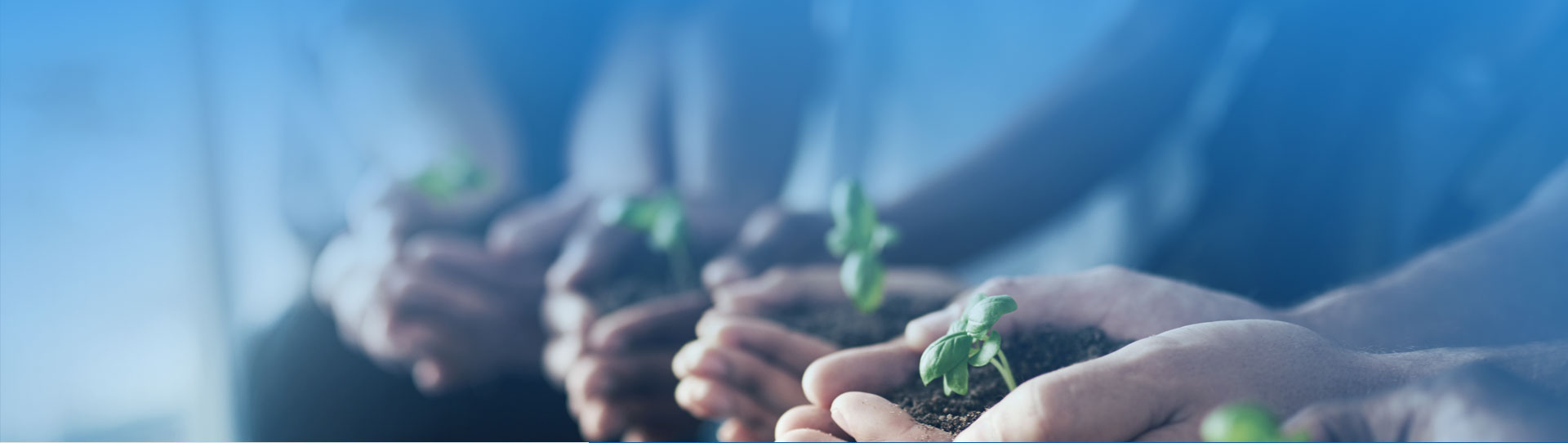 太阳集团tyc539(股份)有限公司官网